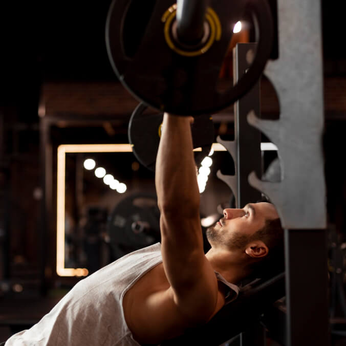 gym_cat_img4